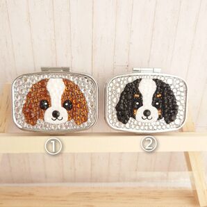 〇キャバリア〇 ハンドメイド ピルケース デコ キラキラ グッズ