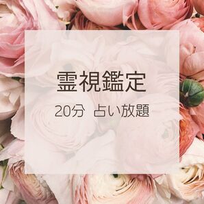 【電話鑑定 20分】占い放題 霊視鑑定 チャネリング 占い