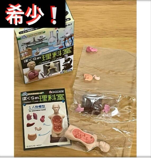 リーメント ぼくらの理科室 ① 人体模型 ★ ぷちサンプル ミニチュア 玩具