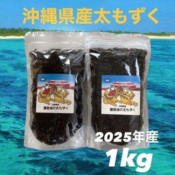 2025年産漁師直送!沖縄県産屋我地の太くて長〜い塩蔵もずく1kg(500g×2パック) 送料無料/沖縄特産品