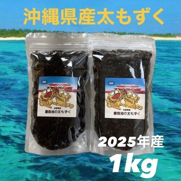 2025年産漁師直送!沖縄県産屋我地の太くて長〜い塩蔵もずく1kg(500g×2パック) 送料無料/沖縄特産品