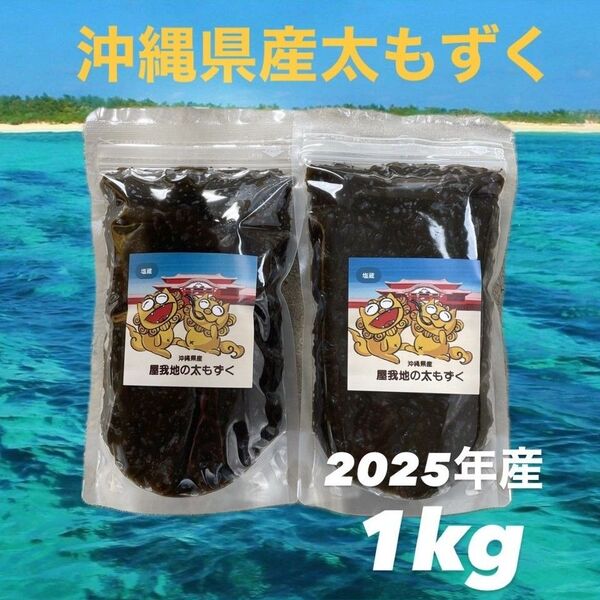 2025年産漁師直送!沖縄県産屋我地の太くて長〜い塩蔵もずく1kg(500g×2パック) 送料無料/沖縄特産品