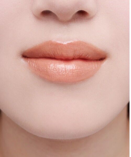 SNIDEL BEAUTY ルージュ スナイデル n (01 Cinnamon Glaze )口紅 リップカラー