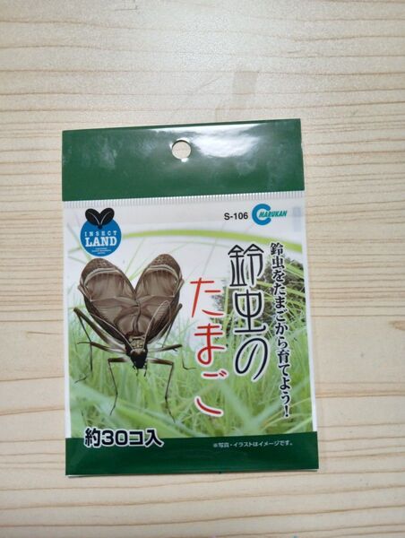 新品未使用!鈴虫の卵、鈴虫を卵から育てよう!約30個入り、お子様の夏休みの課題にいかがでしょうか?