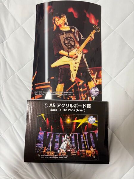 GLAY エンタメくじ vol.2 アクリルボード クリアポスター HISASHI セット