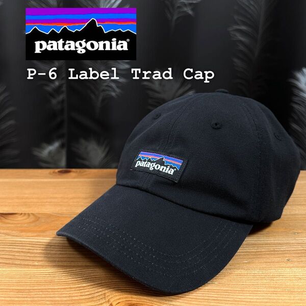 ☆美品☆ patagonia 6パネル ラベルトラッドキャップ オーガニック