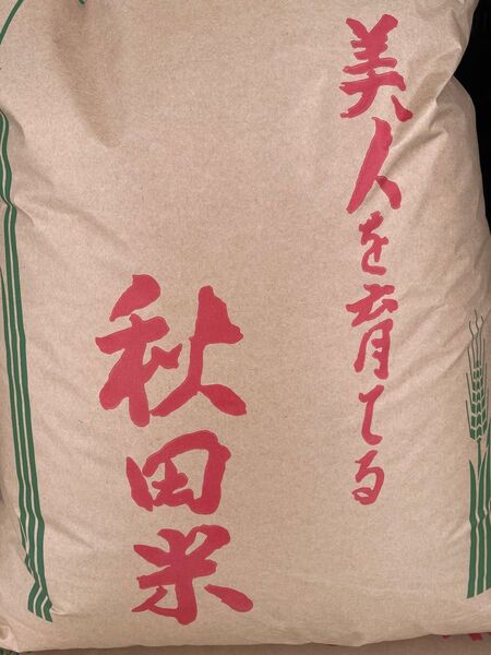 あきたこまち 白米10kg