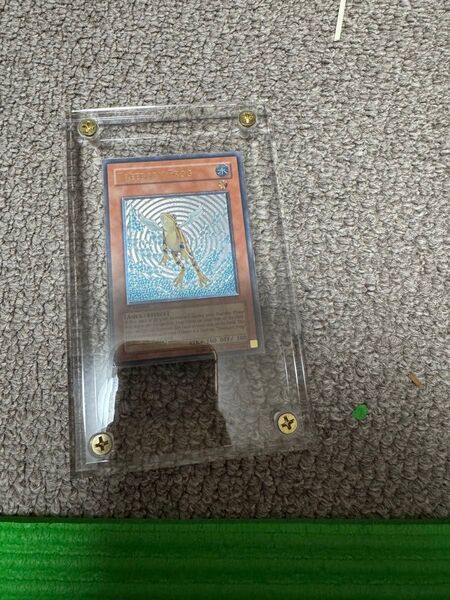 黄泉ガエル アジアレリーフ 遊戯王