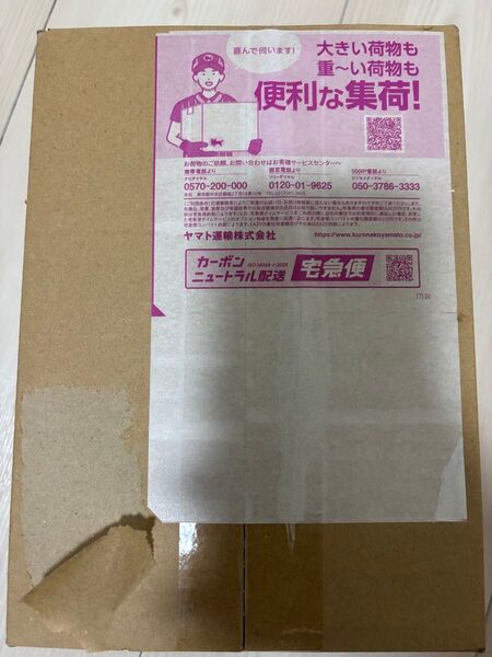 ポケセン産 ロケット団の栄光 ポケモンカードゲーム BOX ポケモンカード ポケセン産 1BOX シュリンク付き