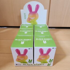 BLACKRabbit6 ブラックラビット 未使用