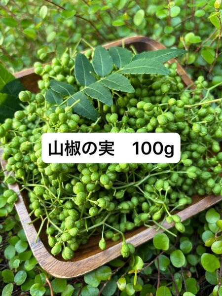 山椒の実 100g 無農薬 実山椒