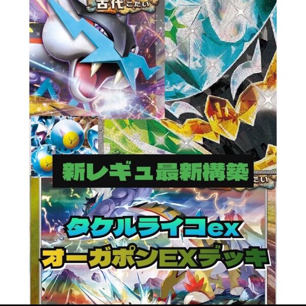 レギュ落ち無し タケルライコ タケルポン 構築済みデッキ ポケモンカード 最安値
