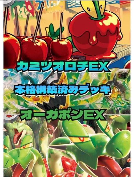 発送早め! ポケモンカード カミツオロチex 構築済みデッキ 60枚 画像は使い回しの為参考に!