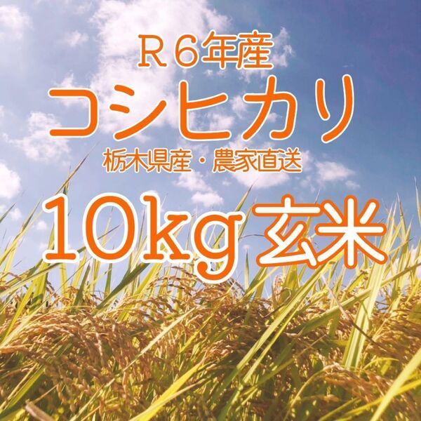 コシヒカリ 玄米 10kg ※精米も承ります!