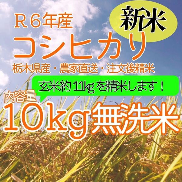 令和6年産「コシヒカリ」無洗米10キロ ご注文後に精米!
