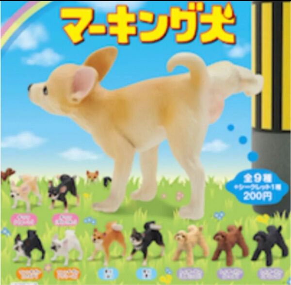 マーキング犬 シークレットのみ