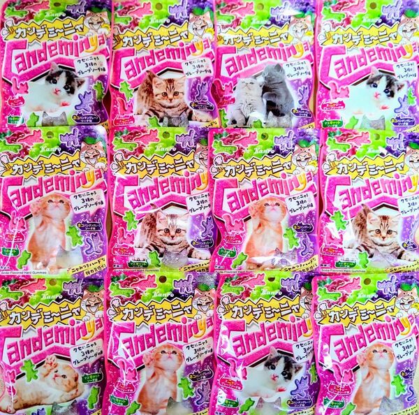 カンロ カンデミーニャ クセにニャる3種のグレープソーダ味 12袋
