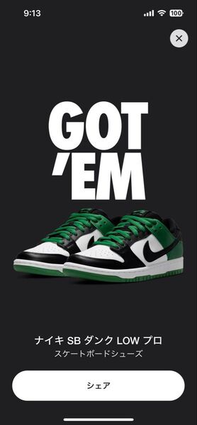 【新品】Nike SB Dunk Low Pro "Black and Classic Green 28.5cm