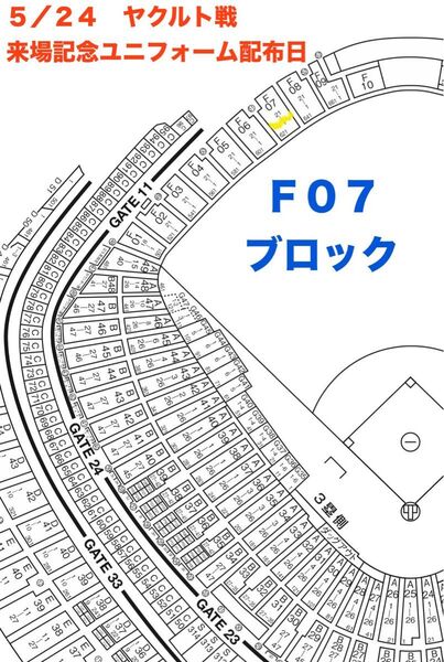 5/24(土) 巨人vsヤクルト 東京ドーム レフト巨人応援席 1枚