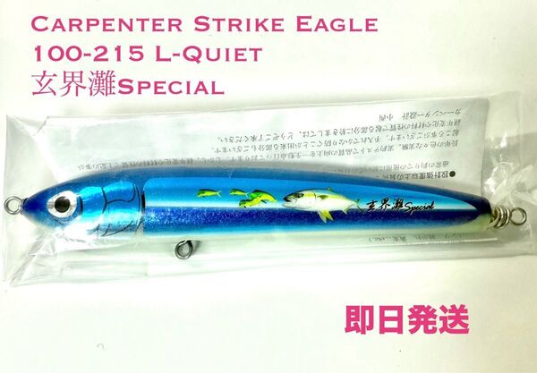 カーペンター ストライクイーグル100-215未使用 carpenter ローカルスタンダード パドルベイト シービーワン バズー