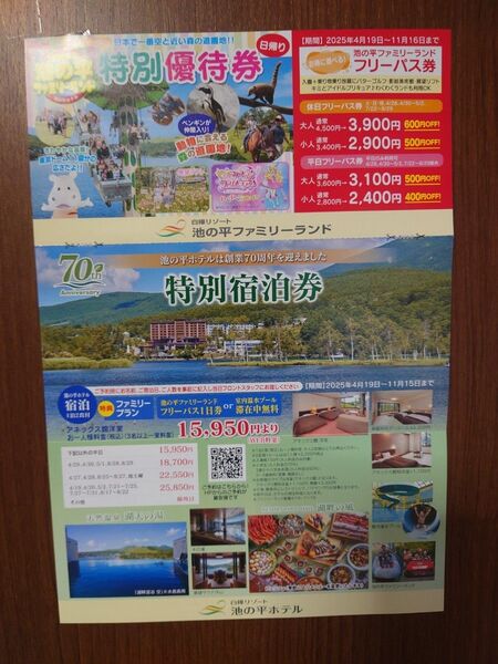 池の平ファミリーランドフリーパス引換券2枚