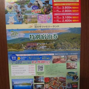 池の平ファミリーランドフリーパス引換券2枚
