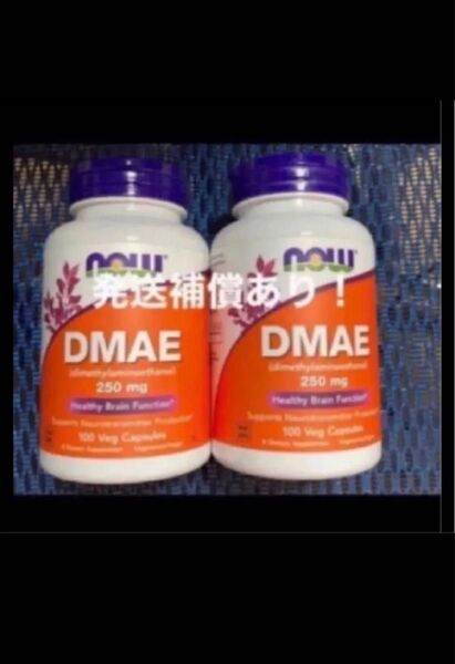 期限は2026年3月以降 NOW一粒にDMAE250mg100カプセル×2