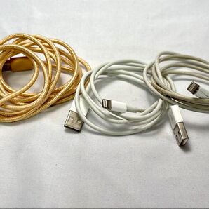 iPhone 充電ケーブル 3本セット(1.8m×1 1m×2)まとめ売り