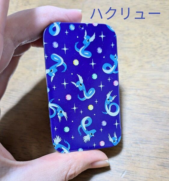 ポケモン ポケットモンスター 入れ物 小物入れ ミニ缶 ハクリュー