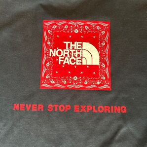 ノースフェイス Tシャツ M レディース
