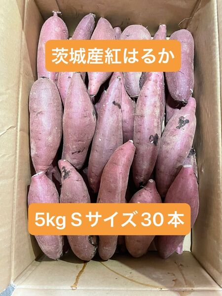 茨城県産紅はるか