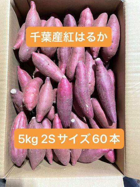 千葉県産紅はるか