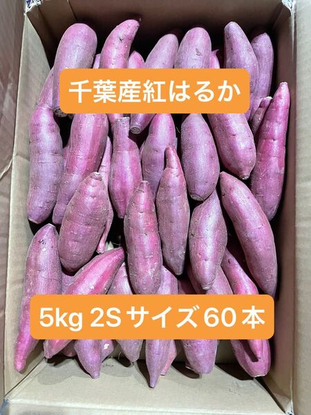 千葉県産紅はるか