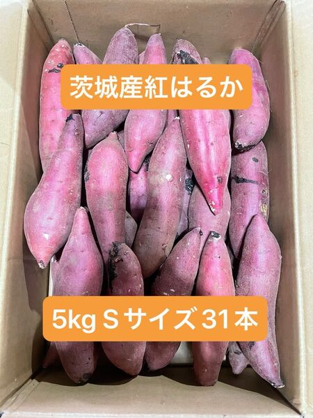 茨城県産紅はるか