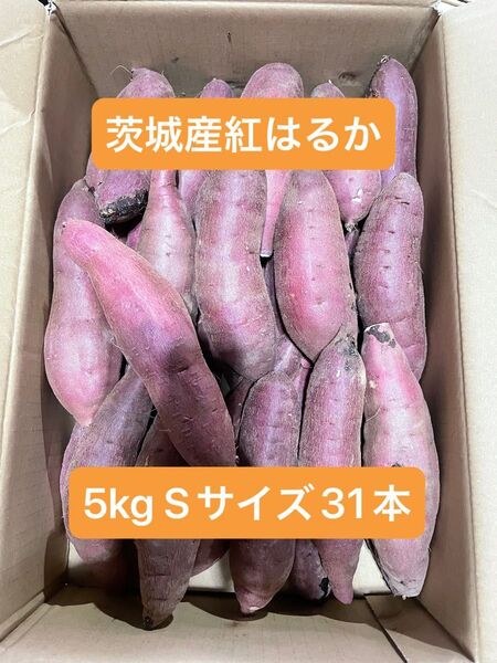 茨城県産紅はるか