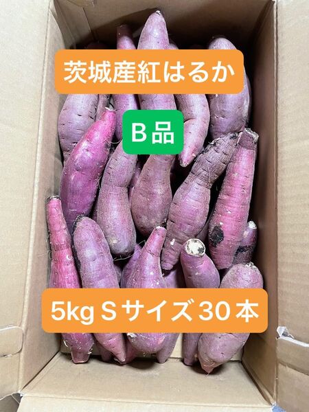 茨城県産紅はるか