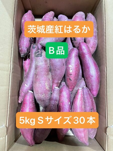 茨城県産紅はるか
