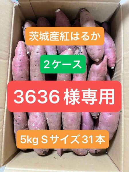 茨城県産紅はるか