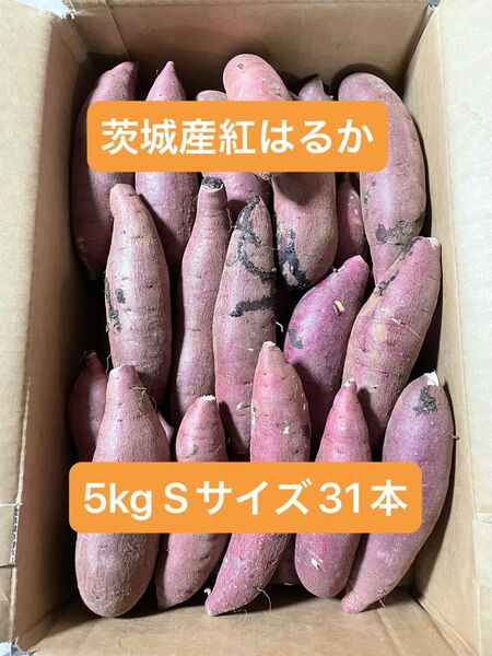 茨城県産紅はるか