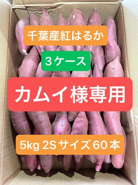 千葉県産紅はるか