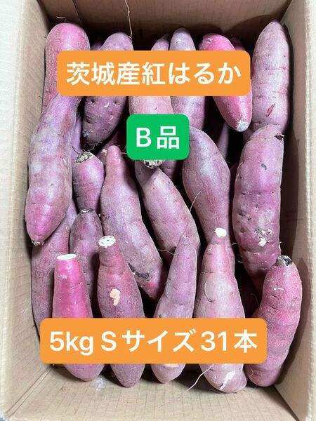 茨城県産紅はるか