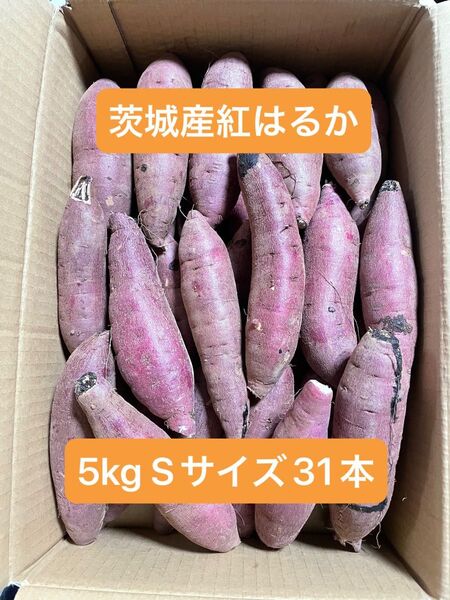 茨城県産紅はるか