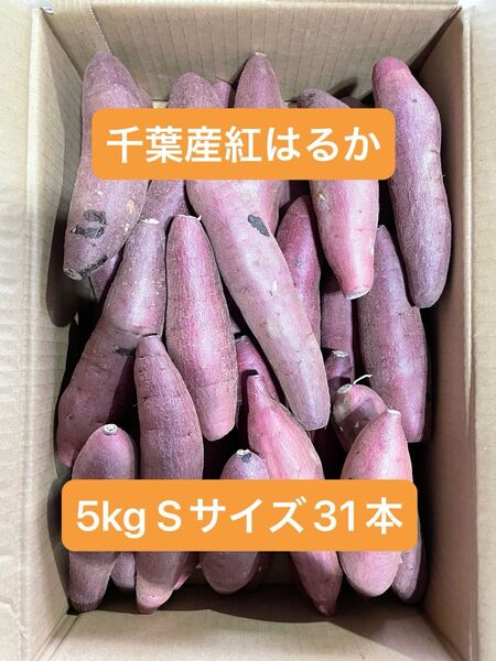 千葉県産紅はるか