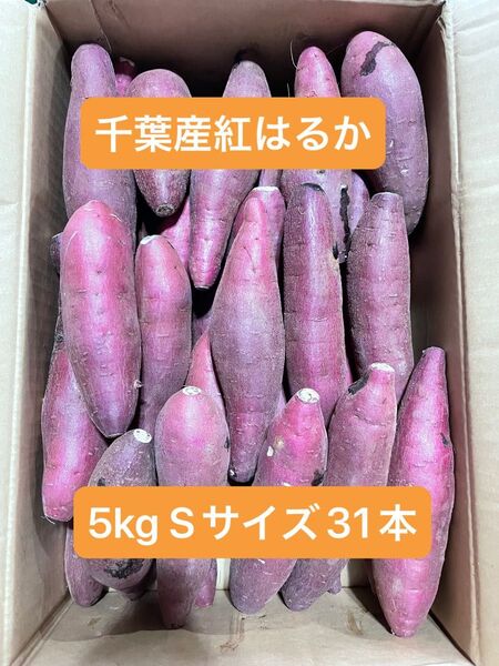 千葉県産紅はるか
