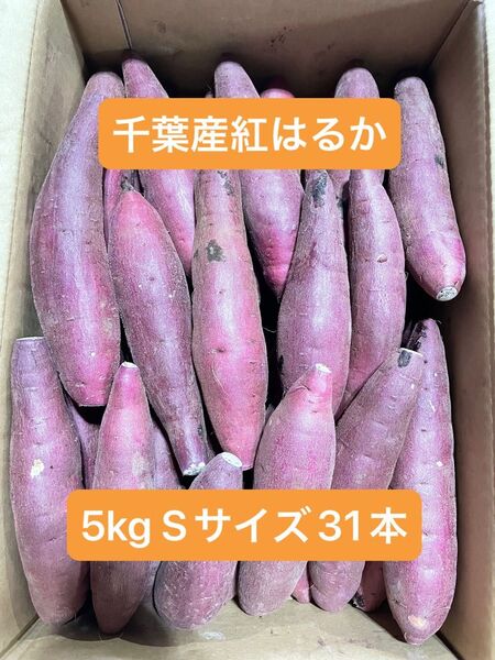 千葉県産紅はるか