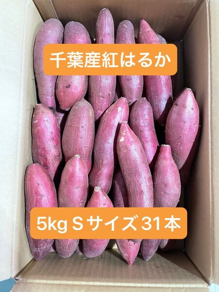 千葉県産紅はるか