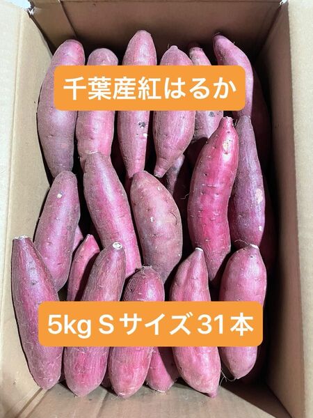千葉県産紅はるか