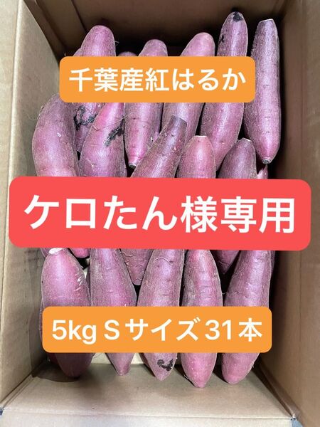 千葉県産紅はるか