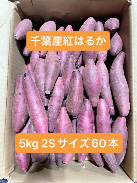 千葉県産紅はるか
