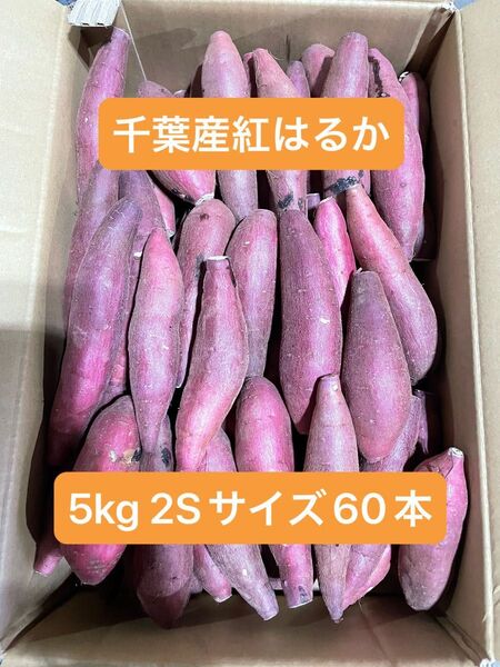 千葉県産紅はるか